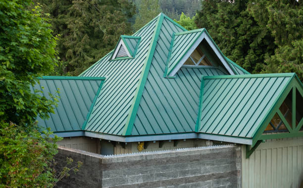 Best Skylight Installation and Repair  in Logan Elm Village, OH